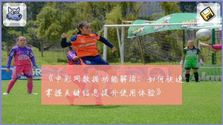 《中彩网数据功能解读：如何快速掌握关键信息提升使用体验》