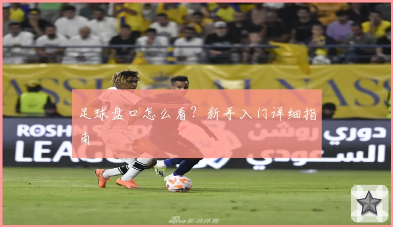足球盘口怎么看？新手入门详细指南