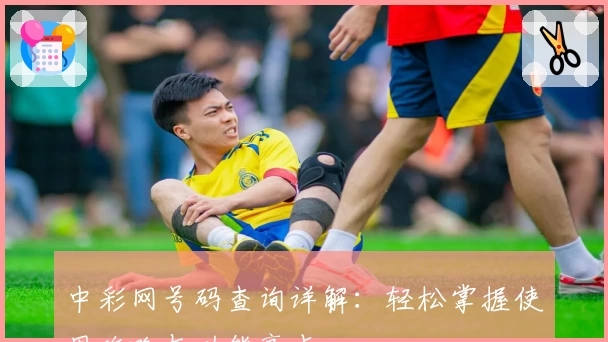 中彩网号码查询详解：轻松掌握使用攻略与功能亮点