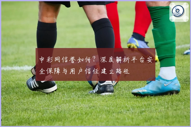 中彩网信誉如何？深度解析平台安全保障与用户信任建立路径