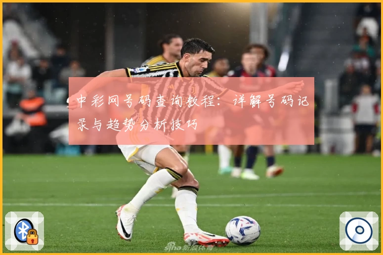 中彩网号码查询教程：详解号码记录与趋势分析技巧