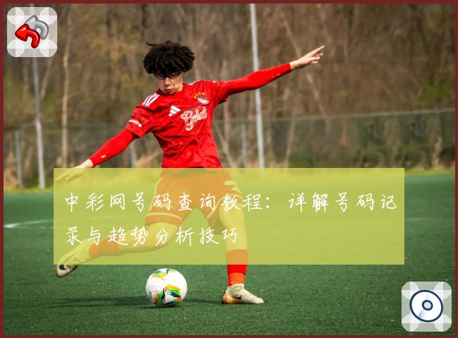 中彩网号码查询教程：详解号码记录与趋势分析技巧