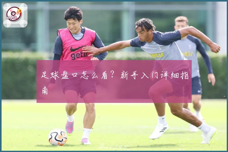 足球盘口怎么看？新手入门详细指南