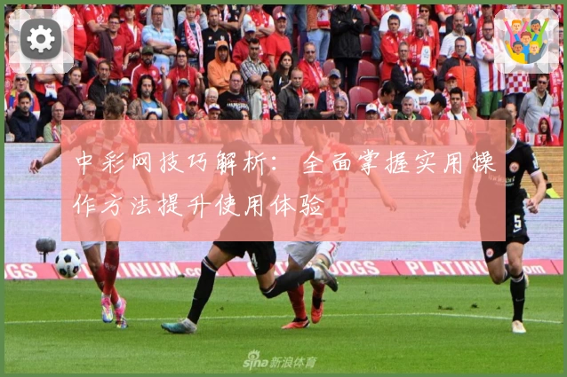 中彩网技巧解析：全面掌握实用操作方法提升使用体验