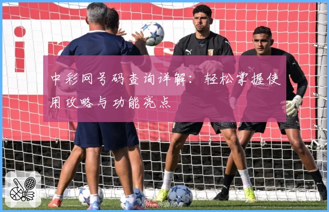 中彩网号码查询详解:轻松掌握使用攻略与功能亮点