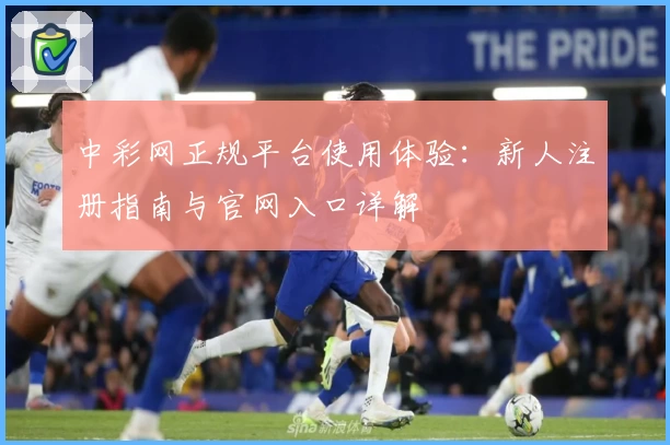中彩网正规平台使用体验:新人注册指南与官网入口详解