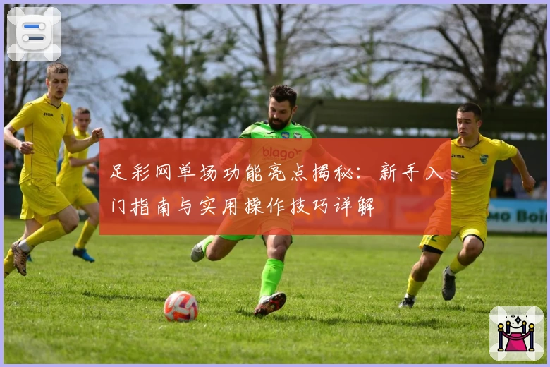 足彩网单场功能亮点揭秘：新手入门指南与实用操作技巧详解